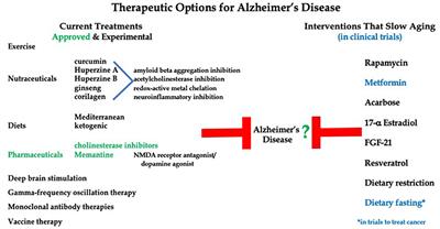 Does Diet Have a Role in the Treatment of Alzheimer's Disease?